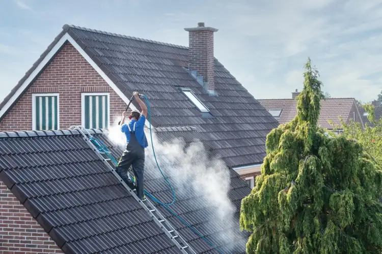 Roof Washing 101: How to Keep Your Roof Clean and Protected