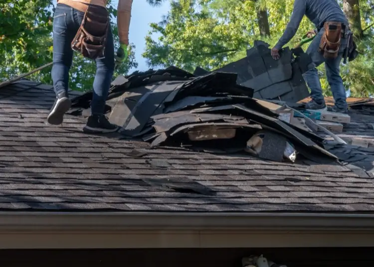 Damaged asphalt shingle roof needing professional repair