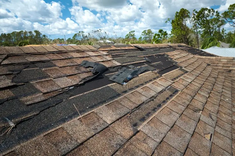 Missing shingles on a roof after a windstorm